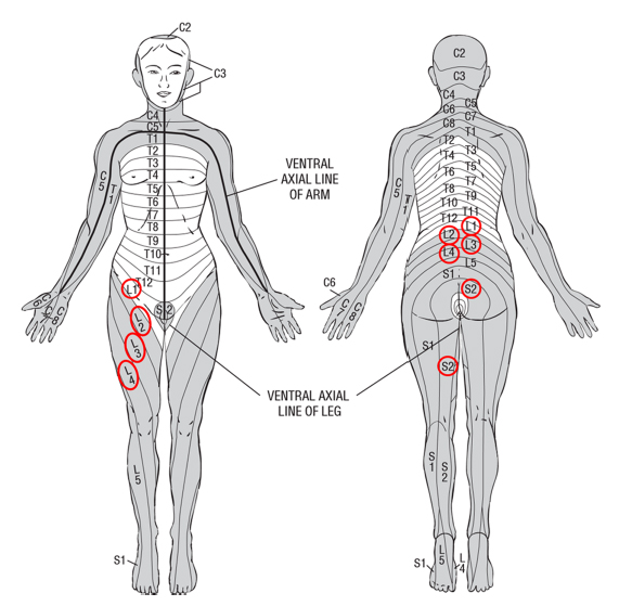 Fig. 7. Fig. 7.