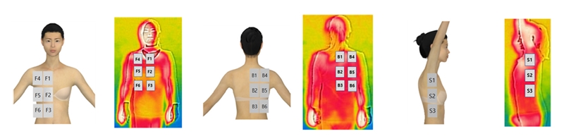 Fig. 2. Fig. 2.