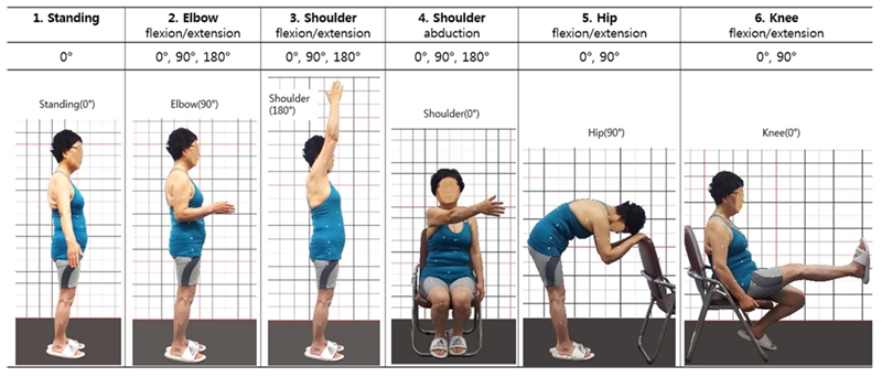 Fig. 3. Fig. 3.