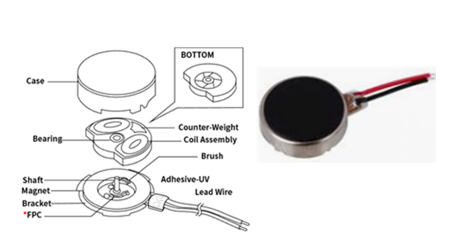 Fig. 2. Fig. 2.