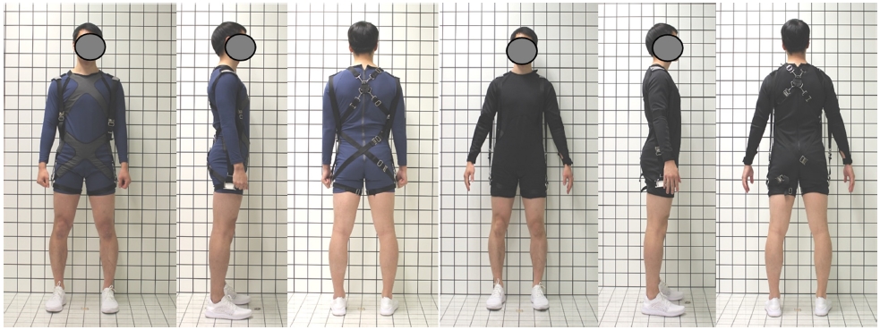Fig. 6. Fig. 6.