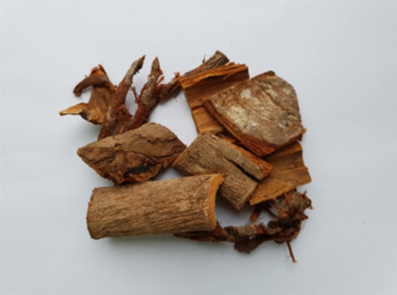 Fig. 1. Fig. 1.