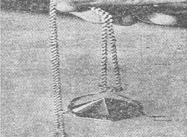 Fig. 9.