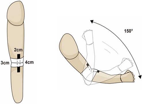 Fig. 5.