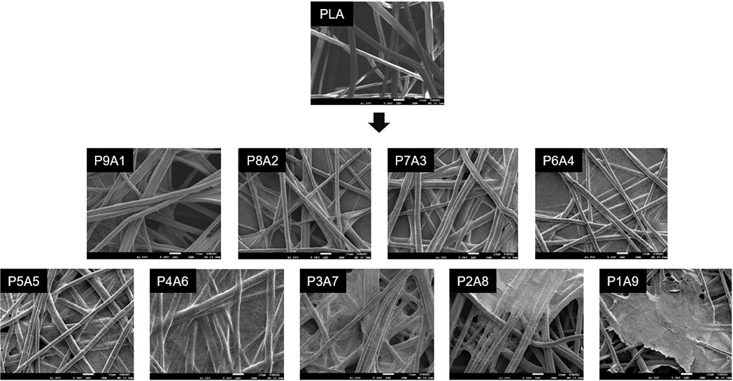 Fig. 8.