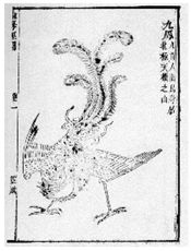 Fig. 1. Fig. 1.