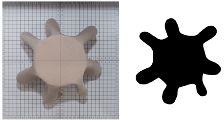 Fig. 5. Fig. 5.
