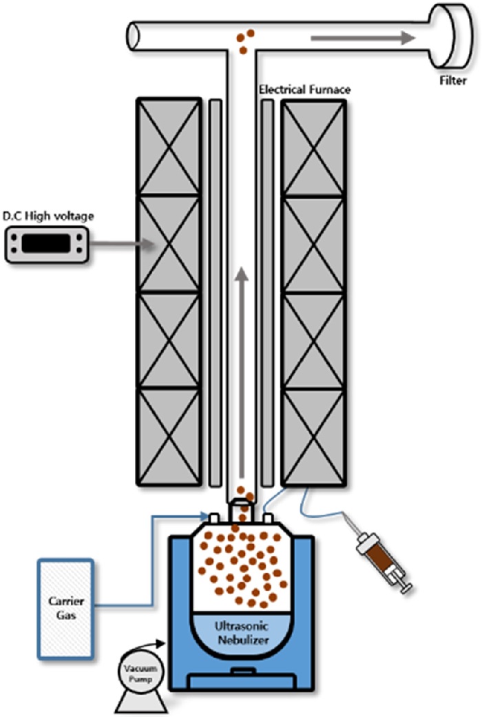 Fig. 1. Fig. 1.
