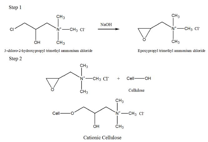 Fig. 1. Fig. 1.