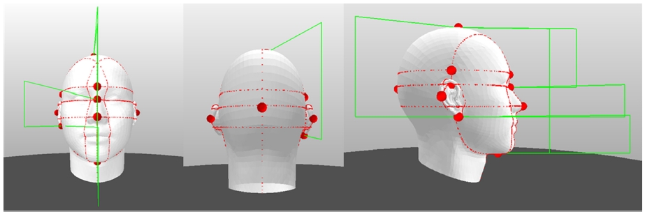 Fig. 1. Fig. 1.