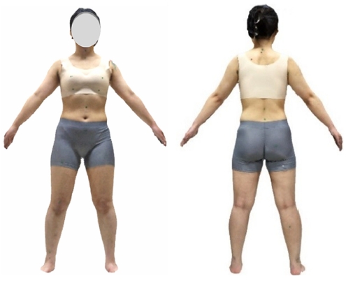 Fig. 2. Fig. 2.