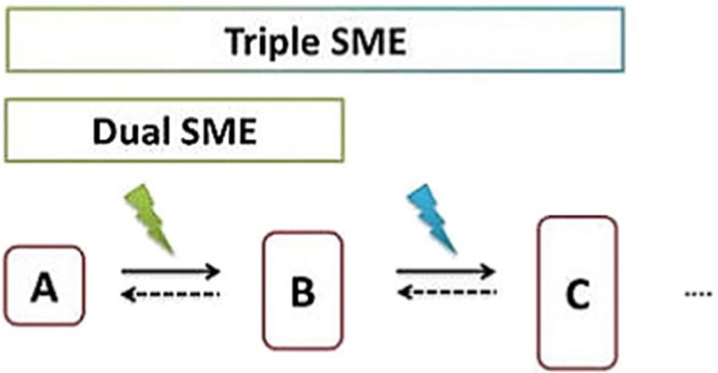 Fig. 2.