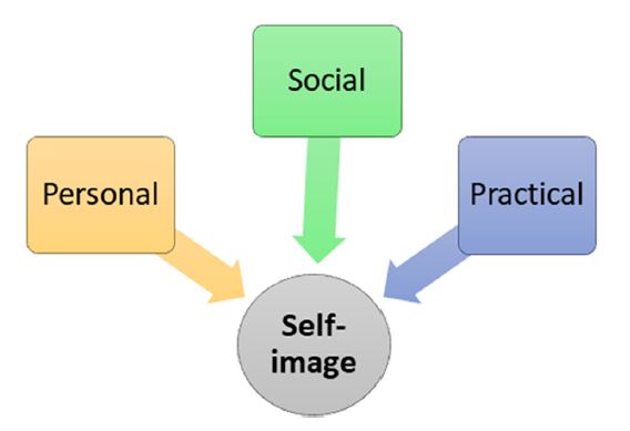Fig. 1. Fig. 1.