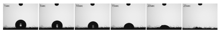 Fig. 3. Fig. 3.