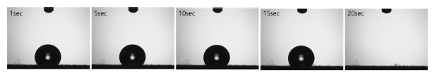Fig. 4. Fig. 4.