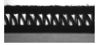 Fig. 5. Fig. 5.
