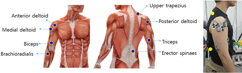Fig. 4. Fig. 4.