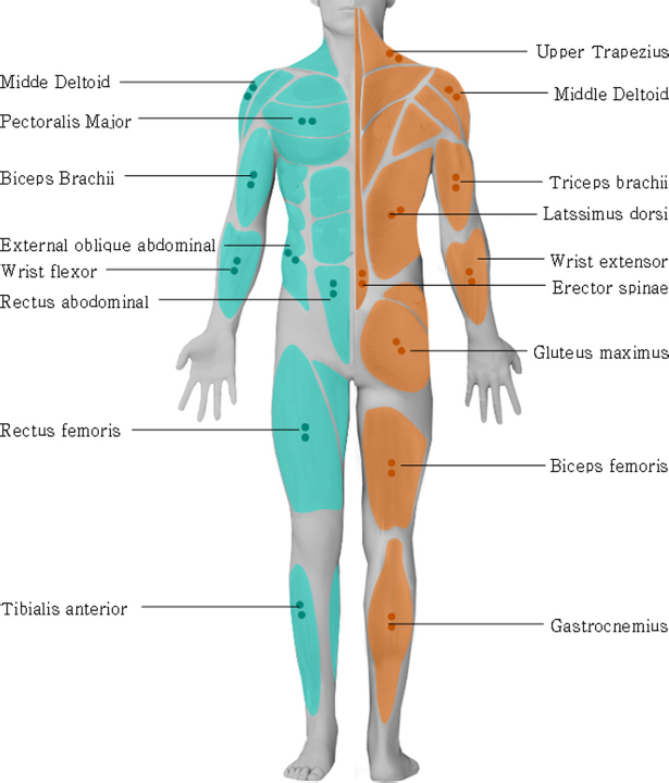 Fig. 7. Fig. 7.