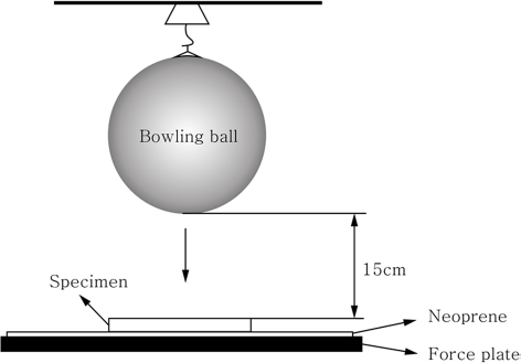 Fig. 2. Fig. 2.