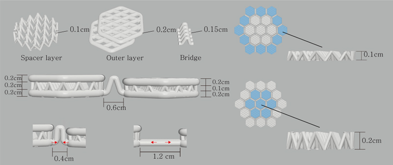 Fig. 3. Fig. 3.