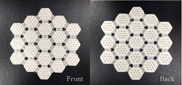 Fig. 4. Fig. 4.