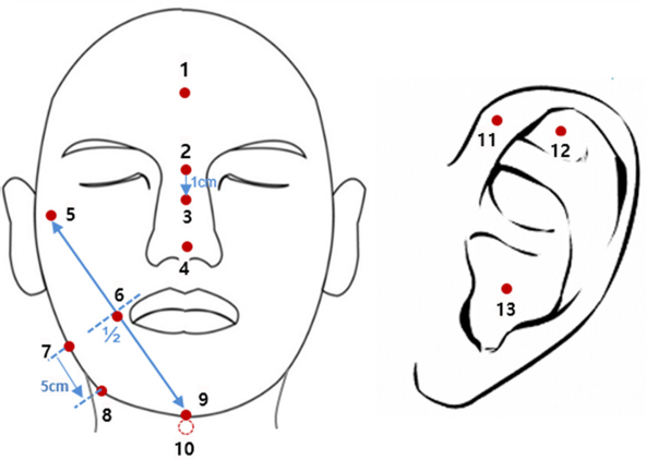 Fig. 4. Fig. 4.