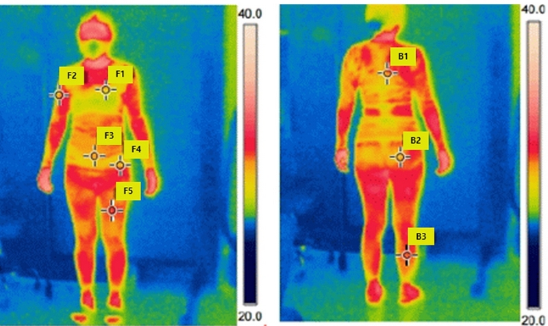 Fig. 3.