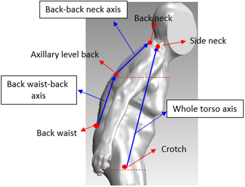 Fig. 2. Fig. 2.