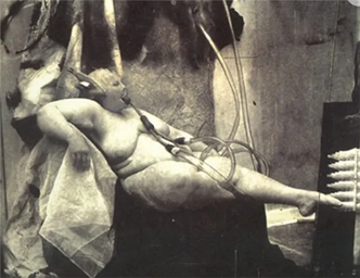 Fig. 15.