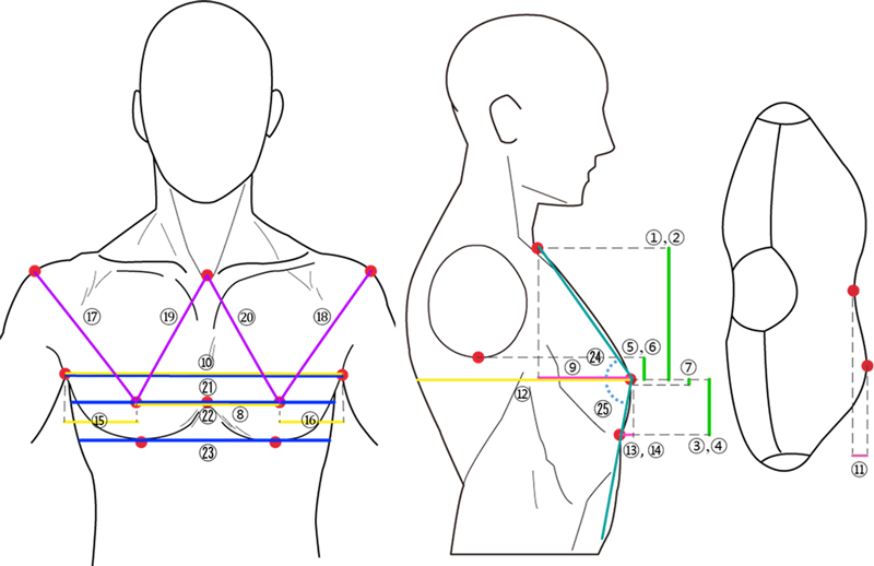 Fig. 2.