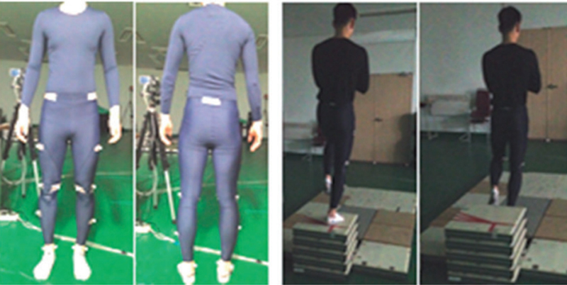 Fig. 2. Fig. 2.