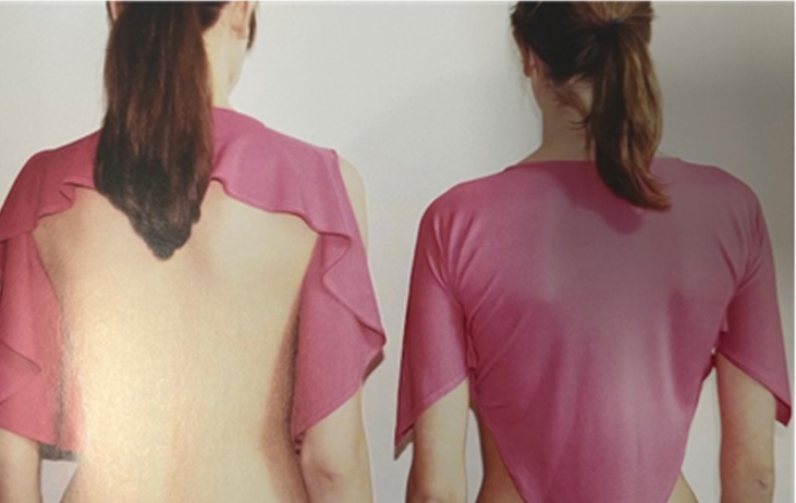 Fig. 6. Fig. 6.