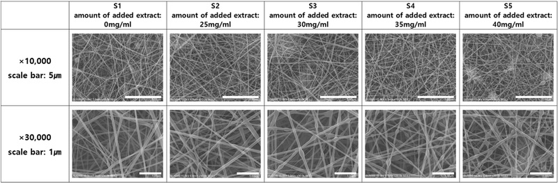 Fig. 2. Fig. 2.