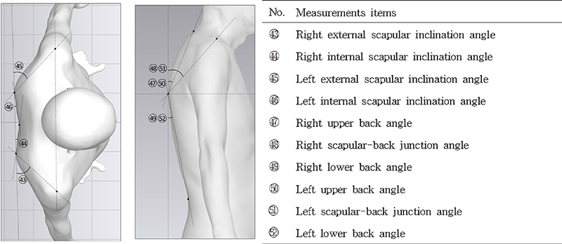 Fig. 1. Fig. 1.